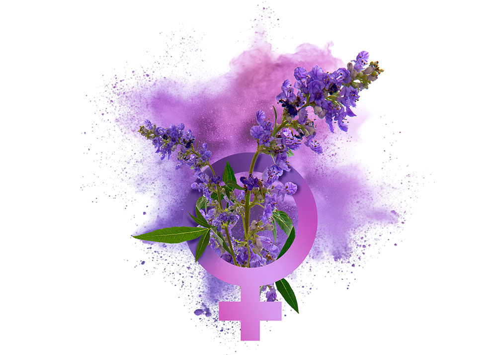 Natur Tanya Barátcserje MAX kapszula B6-vitaminnal - 60db