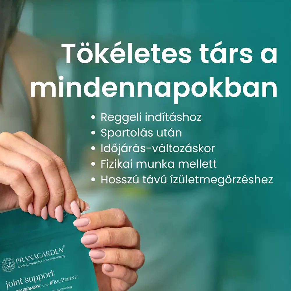 Pranagarden Joint Support ízület támogató gyógynövény kapszula - 60db