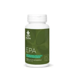 WTN EPA - 60db